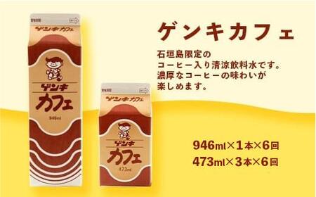 【ふるさと納税限定】【定期便_6回】八重山ゲンキ乳業 オールスターセット【八重山ゲンキ乳業】【ゲンキ牛乳】【石垣島のソウルドリンク ゲンキクール】【ゲンキカフェ】【さんぴん茶ミルクティー】GN-2_6