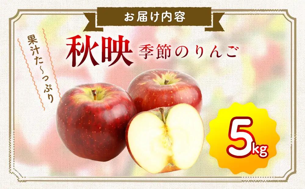 季節のりんご『秋映』（５ｋｇ）（予約制）( りんご 林檎 )