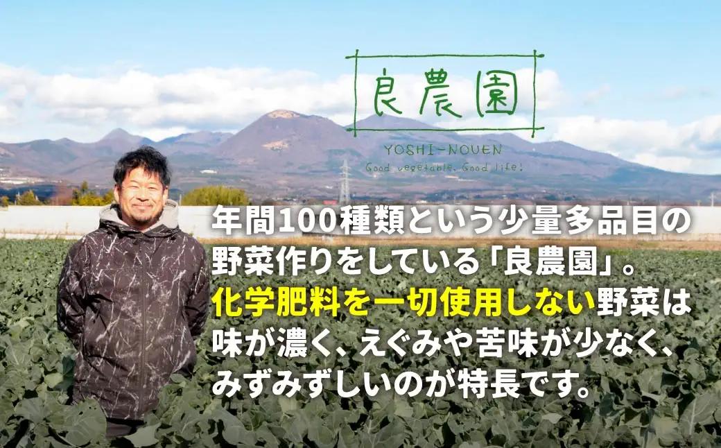 新玉ねぎ 5kg 玉ねぎ