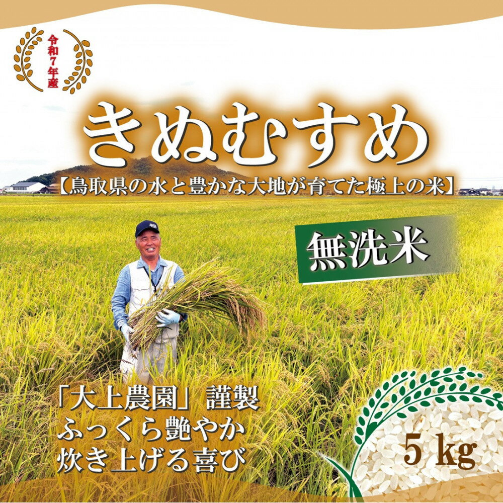 【ふるさと納税】令和7年 鳥取県産 大上農園きぬむすめ無洗米 5kg