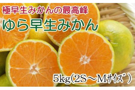 【極早生みかんの逸品】有田産ゆら早生みかん 約5kg　※2025年10月中旬～11月中旬頃に順次発送【tec801A】