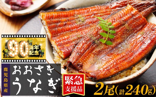 
                  うなぎ 緊急支援品 鹿児島県産 長蒲焼 120g × 2尾 合計 240g  国産 うなぎ 鰻 ウナギ 蒲焼き 蒲焼 かばやき 魚 魚介 魚貝 海鮮 うな重 ひつまぶし 蒲焼 訳あり ギフト 人気 うなぎ おすすめ 鹿児島県 大崎町 大隅半島
                