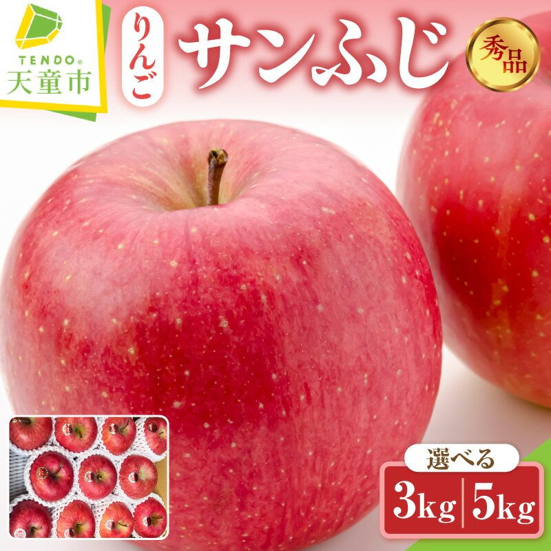【ふるさと納税】 りんご ( サンふじ ) 選べる 3kg / 5kg 令和8年産 先行予約 2026年 リンゴ 果物 フルーツ 秀 のし 贈答 贈り物 ギフト プレゼント おすそ分け お取り寄せ 旬 秋 冬 期間限定 産地直送 送料無料 【 山形県 天童市 】