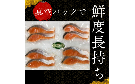 本格銀鮭甘塩切身セット 8切 640g / 鮭 切り身 個包装 冷凍 さけ サケ しゃけ 銀鮭 千葉県 匝瑳市