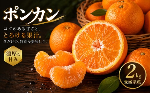 【安心して選べる】 昔ながらの美味しさ 【ポンカン】 2kg 愛媛県産 【2027年1月中旬頃から順次発送】 | ぽんかん みかん ミカン mikan 蜜柑 訳ありフルーツ 柑橘 果物 おすすめ お勧め お取り寄せ ギフト 愛媛県 松山市