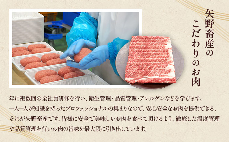 くまもとあか牛 肩ロース すき焼 ・ しゃぶしゃぶ用 約1kg(約500g×2パック) 和牛 牛肉