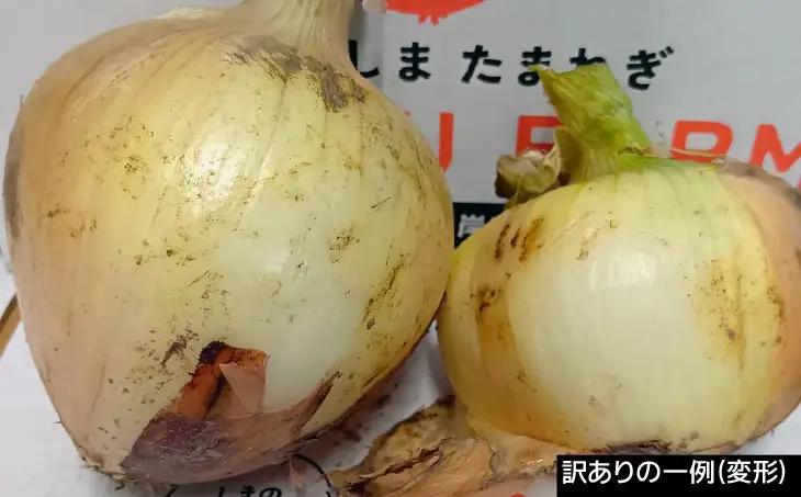 【完熟玉ねぎ予約】訳あり品　淡路島産完熟玉ねぎ 5kg　◆配送６月～翌年１月