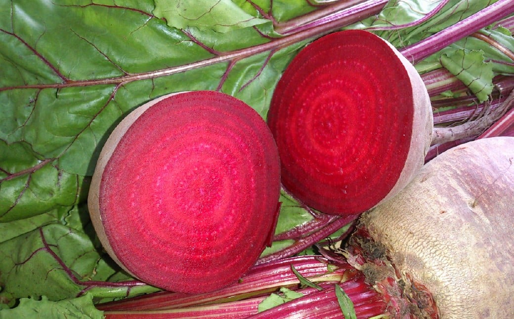 
            自社農園栽培 生ビーツ5kg  ビーツ やさい 野菜 健康 美容 冷蔵 国産 九州 熊本県 あさぎり町
          