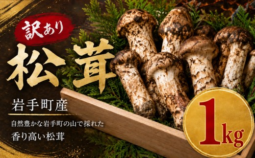 【先行予約】 天然松茸 訳あり 先行予約 選べる容量 1kg 国産 国産松茸 岩手県産 岩手町産 訳あり松茸 松茸 まつたけ マツタケ 天然まつたけ 秋の味覚 2026年発送 家庭用 自宅用 松茸ご飯 焼き松茸 土瓶蒸し 冷蔵 秋の味覚 希少 ギフト 贈り物