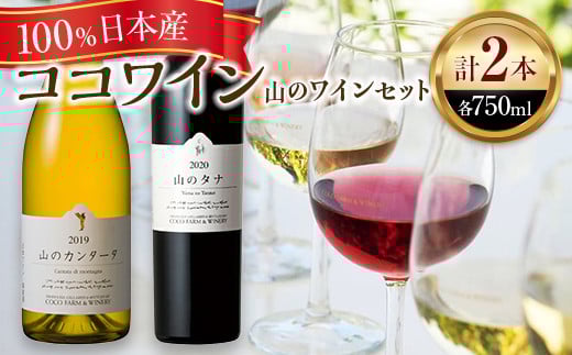 ココワイン/山のワインセット【  ワイン セット お酒 栃木県 足利市 】