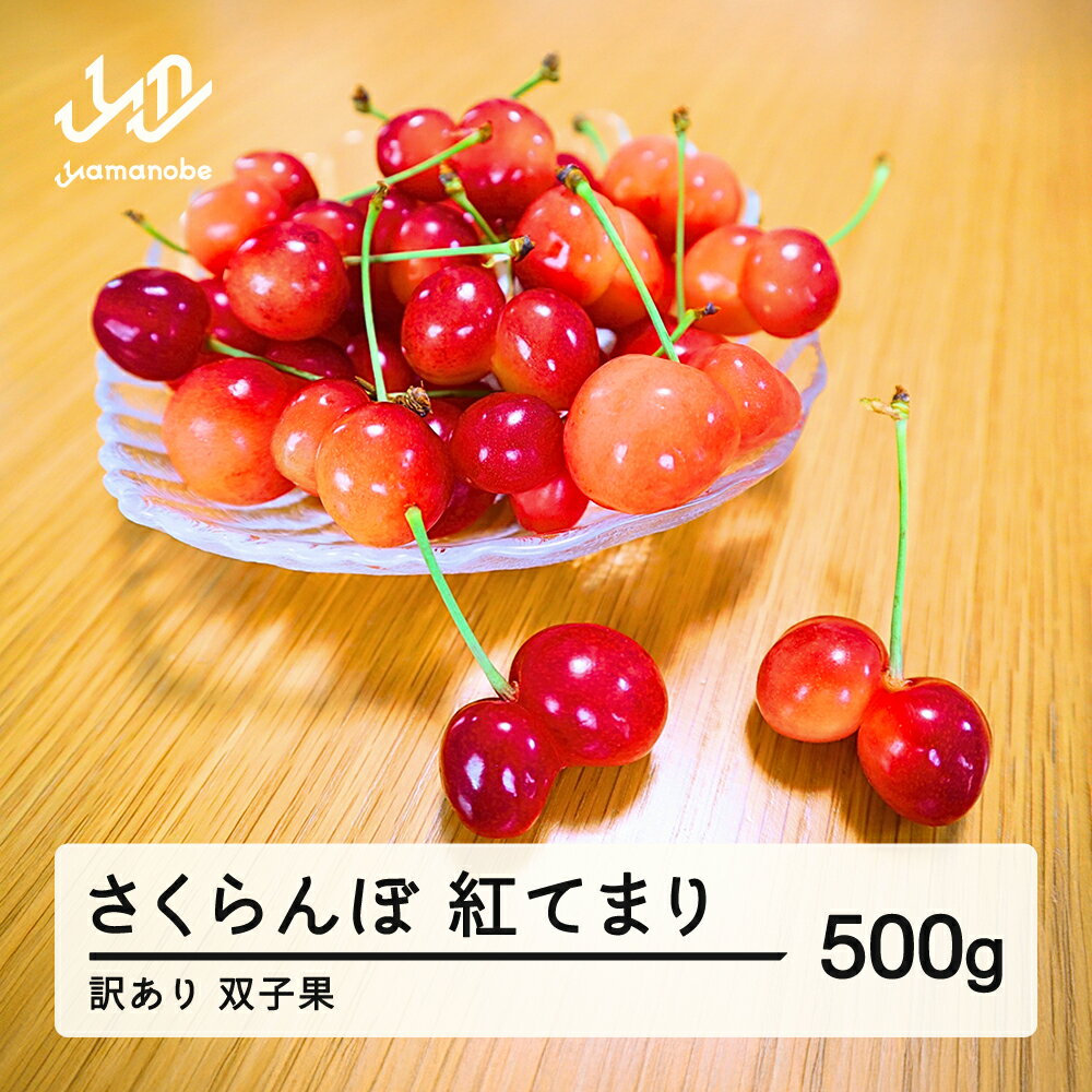 【ふるさと納税】2026年産 山形県産 さくらんぼ 訳あり 双子果 紅てまり 500g 送料無料 ※沖縄・離島への配送不可 sn-btwxx500