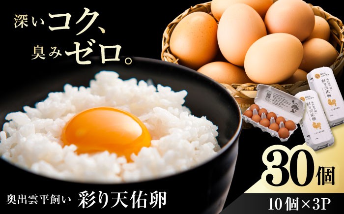 
                  卵 【平飼い卵】たたらの里平飼い 彩り天佑卵 30個入り（10個×3P）たまご 卵 放牧卵 平飼い卵 国産卵 タマゴ 玉子 鶏卵 鶏 卵黄 卵10個 卵3パック 卵30個  新鮮卵 卵料理 卵かけごはん オムレツ 卵焼き 玉子焼き パック卵 便利 ストック卵 人気 美味しい卵 おすすめ卵 天佑卵 美容 健康 グルメ 島根県雲南市/株式会社たなべたたらの里（たなべ森の鶏舎） [AIDL001]
                