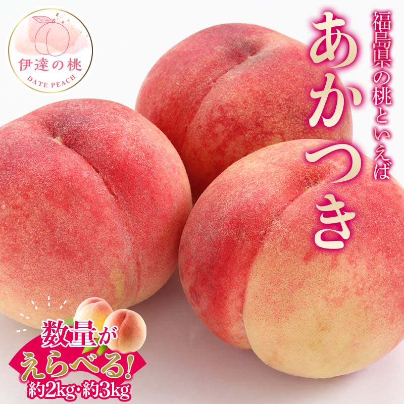 【ふるさと納税】＼選べる容量／【2026年出荷分先行予約】福島県産 あかつき 約2kg 約3kg 農業生産法人種まきうさぎ株式会社 伊達の桃 桃 フルーツ 果物 もも モモ momo F20C-497var