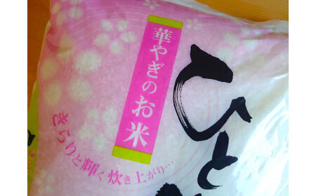 【先行予約】令和6年産新米 ひとめぼれ 5kg 陸前高田市産 石川製油 【 米 お米 今摺り米 おにぎり お弁当 食品 】
