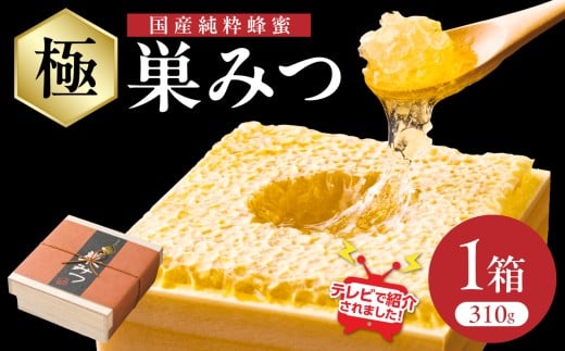 【TVで紹介！】はちみつ 国産純粋蜂蜜 極巣みつ 310g 非加熱 はちみつ ハチミツ 生はちみつ ローハニー オススメ 贈答 贈り物 プレゼント 福岡県 八女市