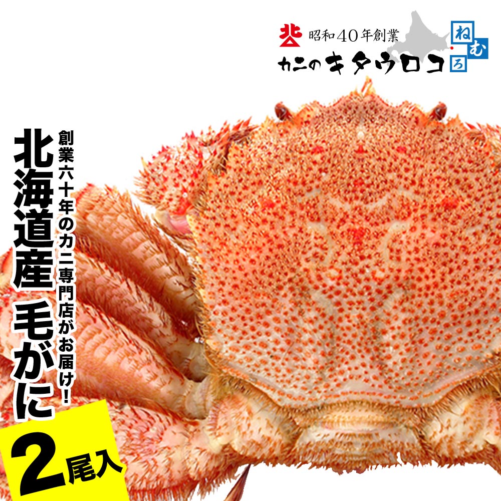 【ふるさと納税】【12月21日決済確定分まで年内配送】毛がに550g〜650g前後×2尾 C-25026
