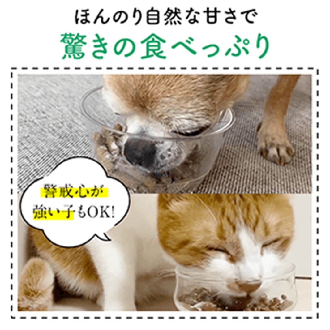 犬猫生活 犬猫兼用デンタルふりかけ 1袋(30包入)
