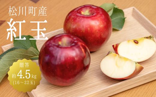 
            KR10-25A りんご 紅玉 贈答 約4.5kg（16～22玉） / 9月下旬頃～配送予定 // 長野県 南信州 松川町産 ギフトリンゴ 林檎 こうぎょく 農家直送 農家支援 産地直送
          