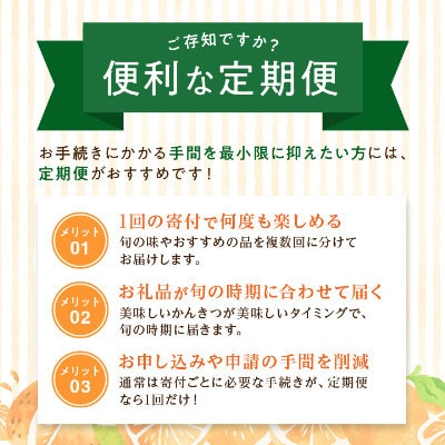 【発送月固定定期便】愛媛の人気品種!かんきつ定期便 11月〜2月全4回【H25−154】【4012888】