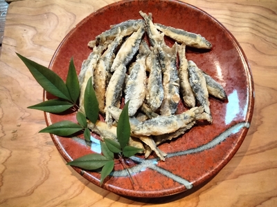【定期3回】冷凍ほんもろこ | 魚 ほんもろこ ホンモロコ 冷凍 天ぷら 唐揚げ 塩焼き 串焼き 刺身 ふるさと納税 栃木県 那珂川町 送料無料