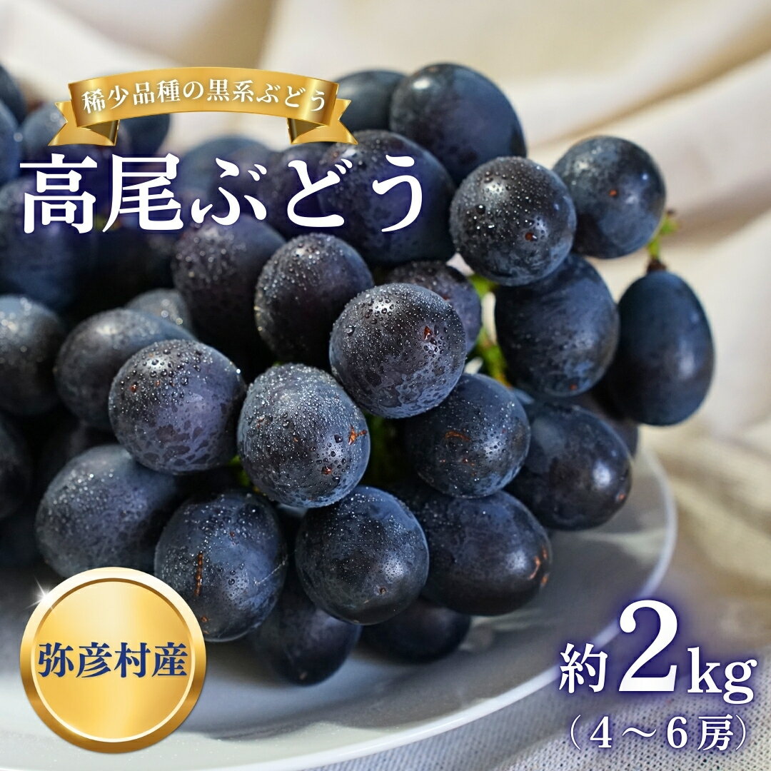 【ふるさと納税】先行予約 ぶどう 高尾 2kg (4~6房) 種無し | 黒系ぶどう 皮ごと食べられる 希少品種 2キロ 葡萄 ブドウ 黒ぶどう 種なし レア 果物 フルーツ 肉厚 甘い 濃厚 贈答用 ギフト 贈り物 プレゼント お取り寄せ 産地直送 新潟県 弥彦村 弥彦アグリセンター