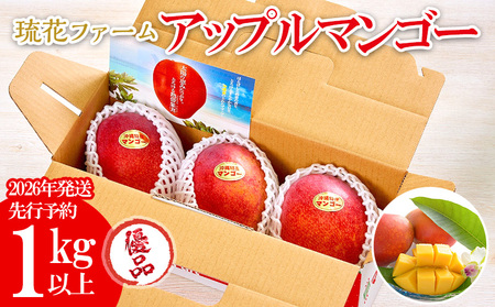 マンゴー【2026年発送先行予約】アップルマンゴー優品1kg以上