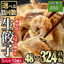 鹿児島うんまか豚生餃子 計144個(12個入り×12P) タレ付き