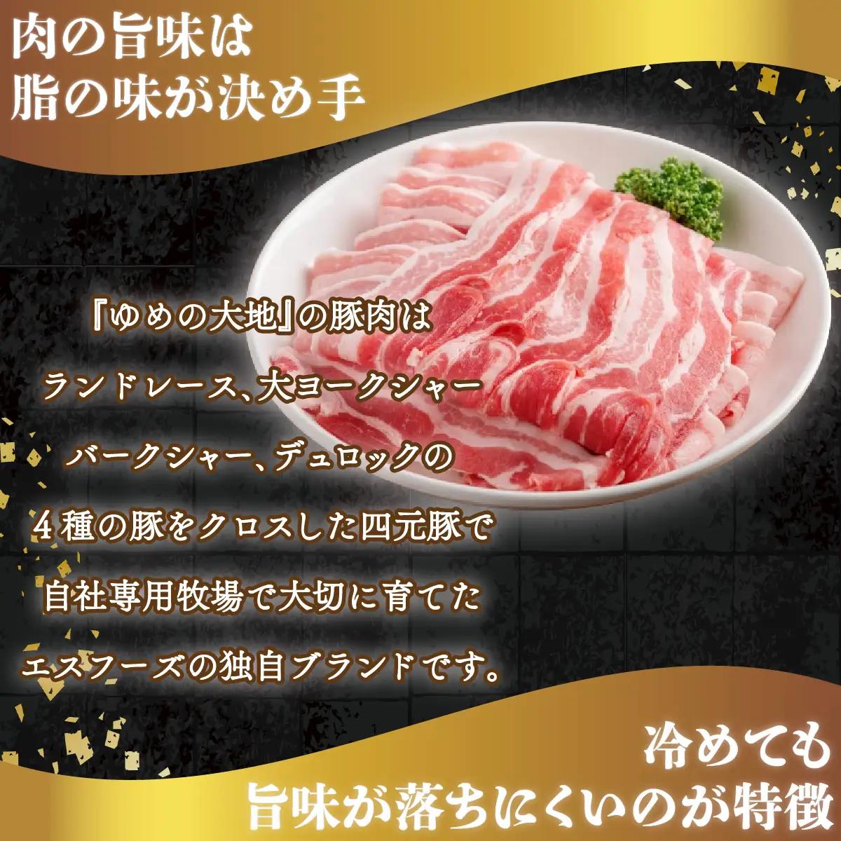 【平取町産四元豚】ゆめの大地豚バラスライス 200g×3パック計600g BRTD012