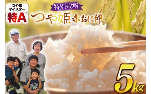 米 令和7年産 特別栽培米 赤おに印 つや姫 5kg [金子農園 山形県 高畠町 tk06ays950041] 精米 白米 米 お米 ブランド米 ごはん ご飯