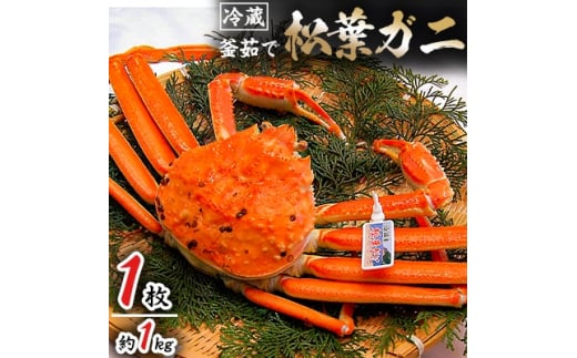 松葉ガニの本場より活〆茹でたてを即出荷　釜茹で松葉ガニ(冷蔵)　1枚　約1kg【1040269】