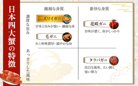 【先行予約】【魚倉】訳あり ボイル 松葉ガニ ２枚セット カニ かに 蟹