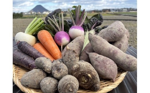 （11月～お届け）無農薬??無化学肥料??無除草剤　冬のお野菜セット（旬の有機野菜5～10種類前後）