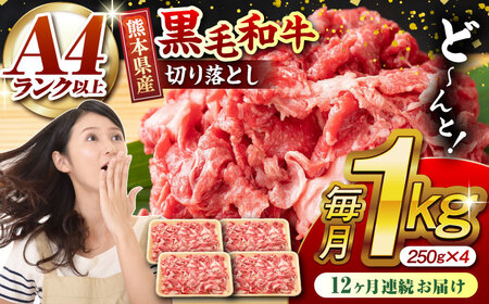 【12回定期便】熊本県産 黒毛和牛 切り落とし 計約1kg (約250g×4P)【有限会社九州食肉産業】九州 熊本県産 切り落とし 小分け 牛肉 和牛 国産 A4 A5ランク 小分け [ZDQ034]