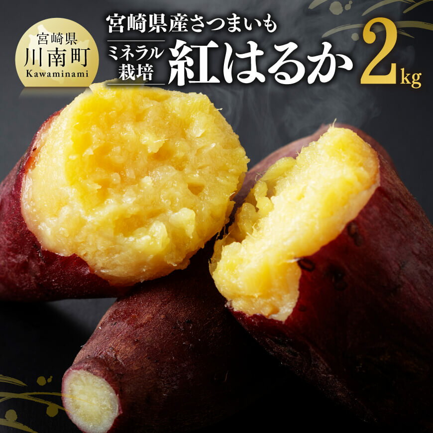 【ふるさと納税】宮崎県産さつまいも　ミネラル栽培　紅はるか 2kg ‐ いも 芋 さつまいも さつま芋 やきいも 焼き芋 スイートポテト きんとん サラダ 手作りケーキ サツマイモ 九州産 宮崎県産 川南町産 送料無料 C10401