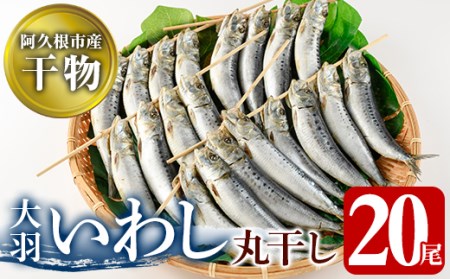 鹿児島県阿久根市産干物！大羽いわし丸干し(20尾)国産 鹿児島県産 魚介 魚貝 海産物 水産加工物 惣菜 簡単調理 セット 小分け【川本商店】a-12-132