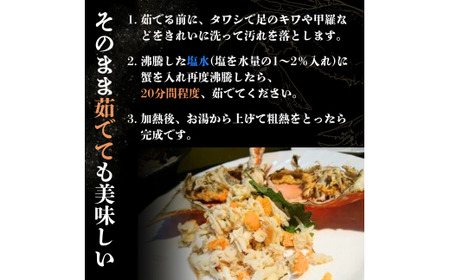 【北海道・東北・沖縄・離島配送不可／着日指定必須】宇部産 ワタリガニ 約600ｇ 2～3杯入り ワタリガニ 宇部