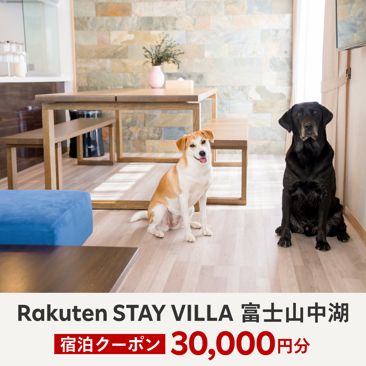 Rakuten STAY VILLA 富士山中湖 宿泊クーポン (30,000円分) YAL002_イメージ1