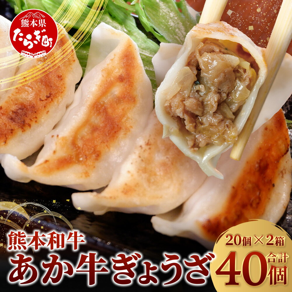【ふるさと納税】熊本和牛 あか牛 ぎょうざ 40個 (20個入り×2) 餃子 ぎょうざ ギョーザ 熊本県 和牛 あか牛 冷凍 生餃子 ぎょうざ おかず 総菜 お弁当 送料無料