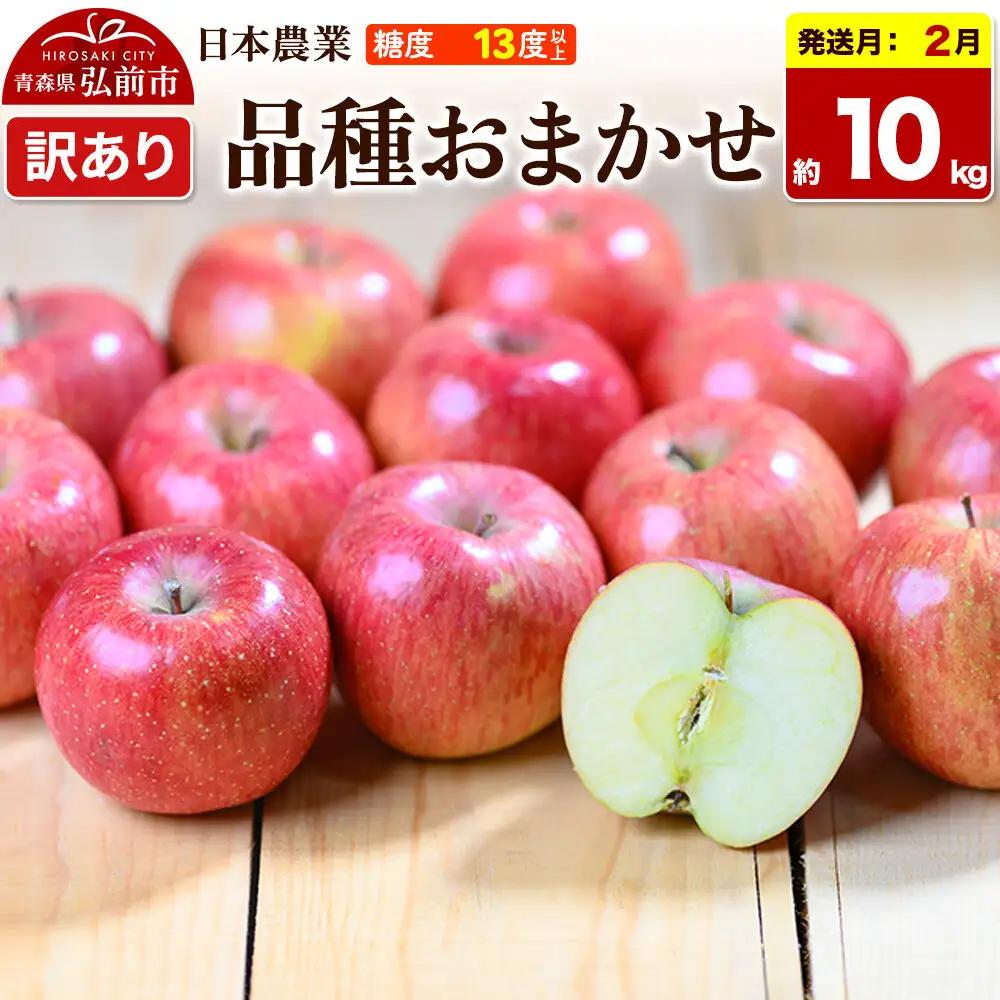【27年2月発送】りんご 品種おまかせ【訳あり】約10kg 平均糖度13度以上 青森県 弘前市 果物 フルーツ 林檎 リンゴ くだもの 不揃い 規格外