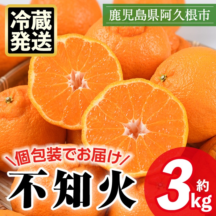 ＜先行予約受付中！2026年4月上旬以降順次発送予定＞数量限定！冷蔵不知火「クールな大将季」(計約3kg) 国産 みかん ミカン 柑橘 フルーツ 果物 旬 デザート 数量限定 阿久根市産 露地 しらぬい シラヌイ 冷蔵 期間限定 クール【三笠農業生産】akn051-06