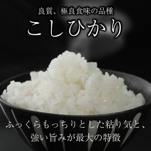 コシヒカリ 白米10kg 令和7年産先行受付 コシヒカリ コシヒカリ コシヒカリ コシヒカリ コシヒカリ