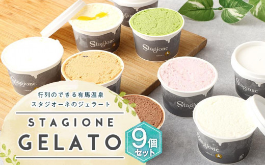 
行列のできる有馬温泉スタジオーネのジェラート９個詰め合わせ
