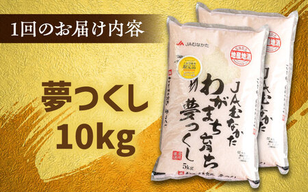 【全3回定期便】福岡産ブランド米・夢つくし5kg×2袋 桂川町/南国フルーツ株式会社[ADBW039]
