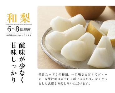1235　遊佐町産和梨と洋梨のセット5kg