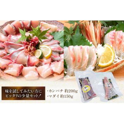 ふるさと納税 日向市 刺身 柵 カンパチ 真鯛 少量贅沢 食べ比べセット(日向市) |  | 01