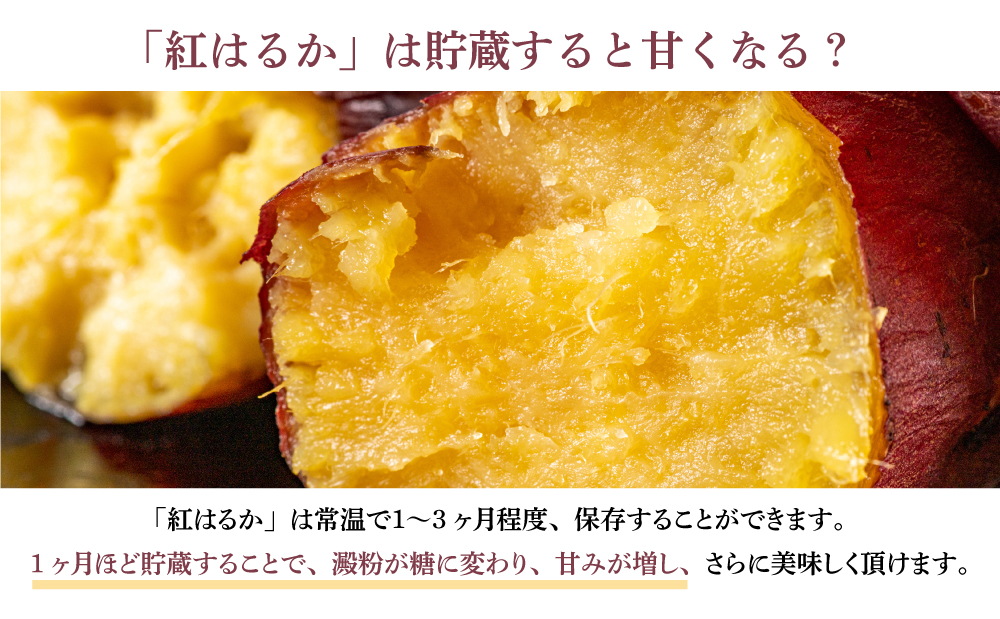 ★10月発送開始★ 鹿児島県産生さつまいも 「紅はるか」約5kg さつまいも 焼き芋 さつま芋 甘藷 サツマイモ べにはるか スイーツ JA 南さつま市