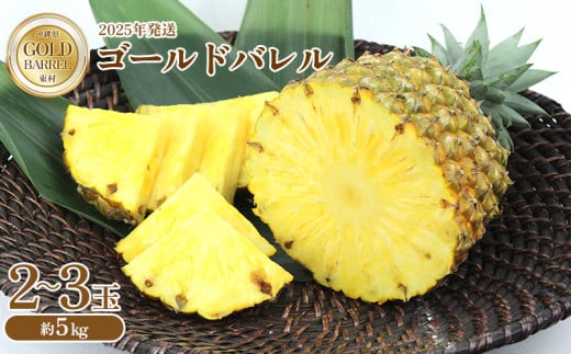 東村産 ゴールドバレルパイン2（2～3玉・約5kg）【2025年発送】 ゴールドバレル パインアップル パイナップル パイン 国産パイン 国産 生産量日本一 ゴールドバレルパイン 甘い おいしい 希少 バレル 人気 ジューシー 南国 トロピカル 予約 先行予約 沖縄 東村