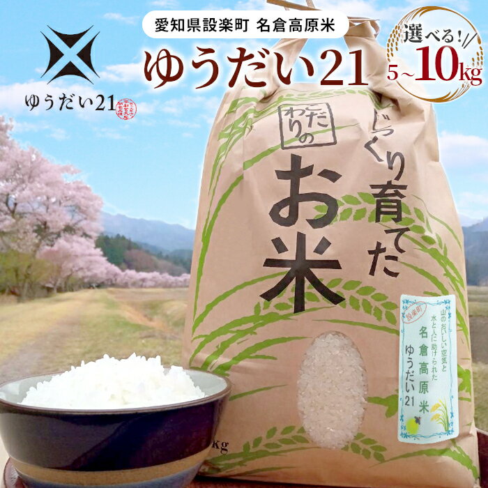 【ふるさと納税】令和7年度米 名倉高原米「ゆうだい21」選べる内容量 5Kg 10Kg 米 お米 白米 ごはん 数量限定 愛知県産 ブランド米 -326