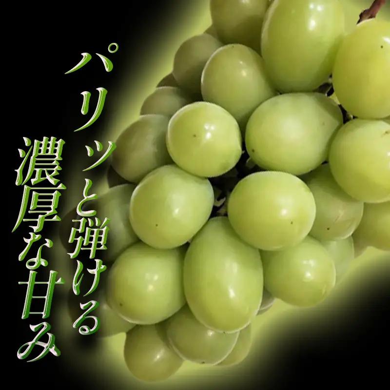 C-289 大粒シャインマスカット　2kg