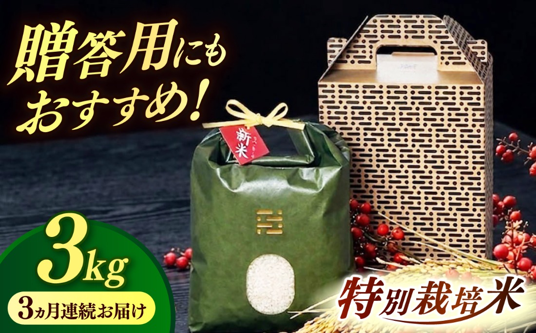 【全3回定期便】とくべつの中のとくべつ  特別栽培米 夢つくし 3kg 【築上町】 / itoshimacco / 株式会社やました[ABEX002]